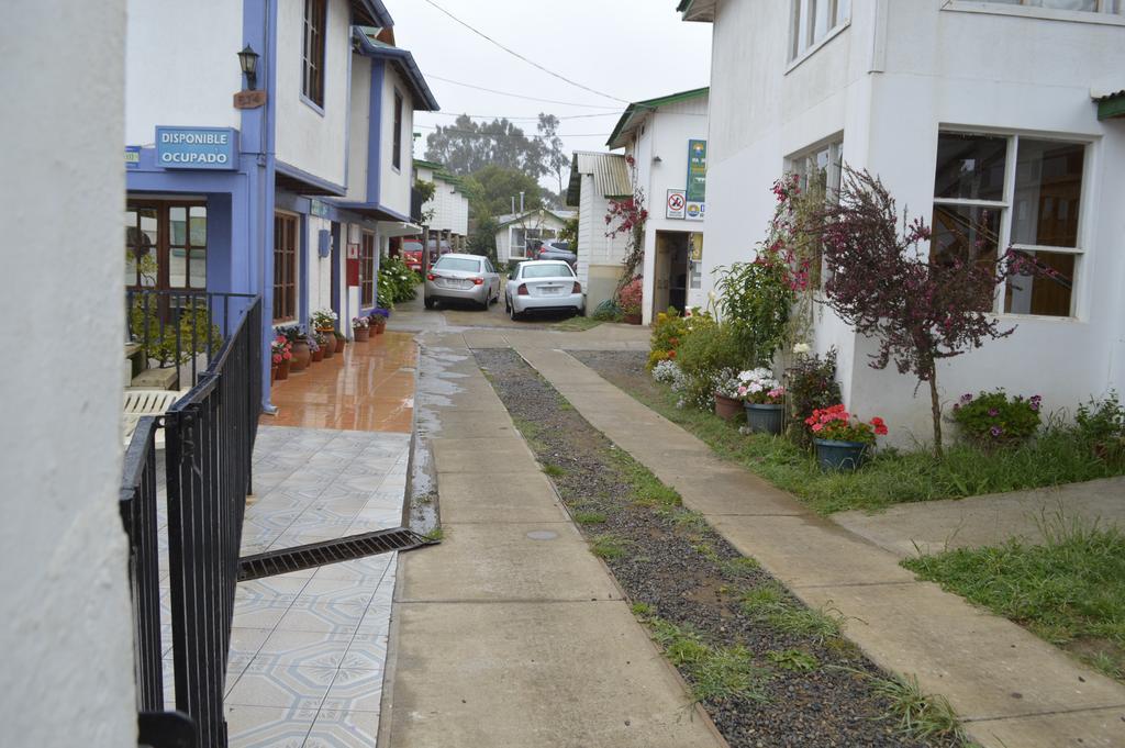 Hecmar * Pichilemu
